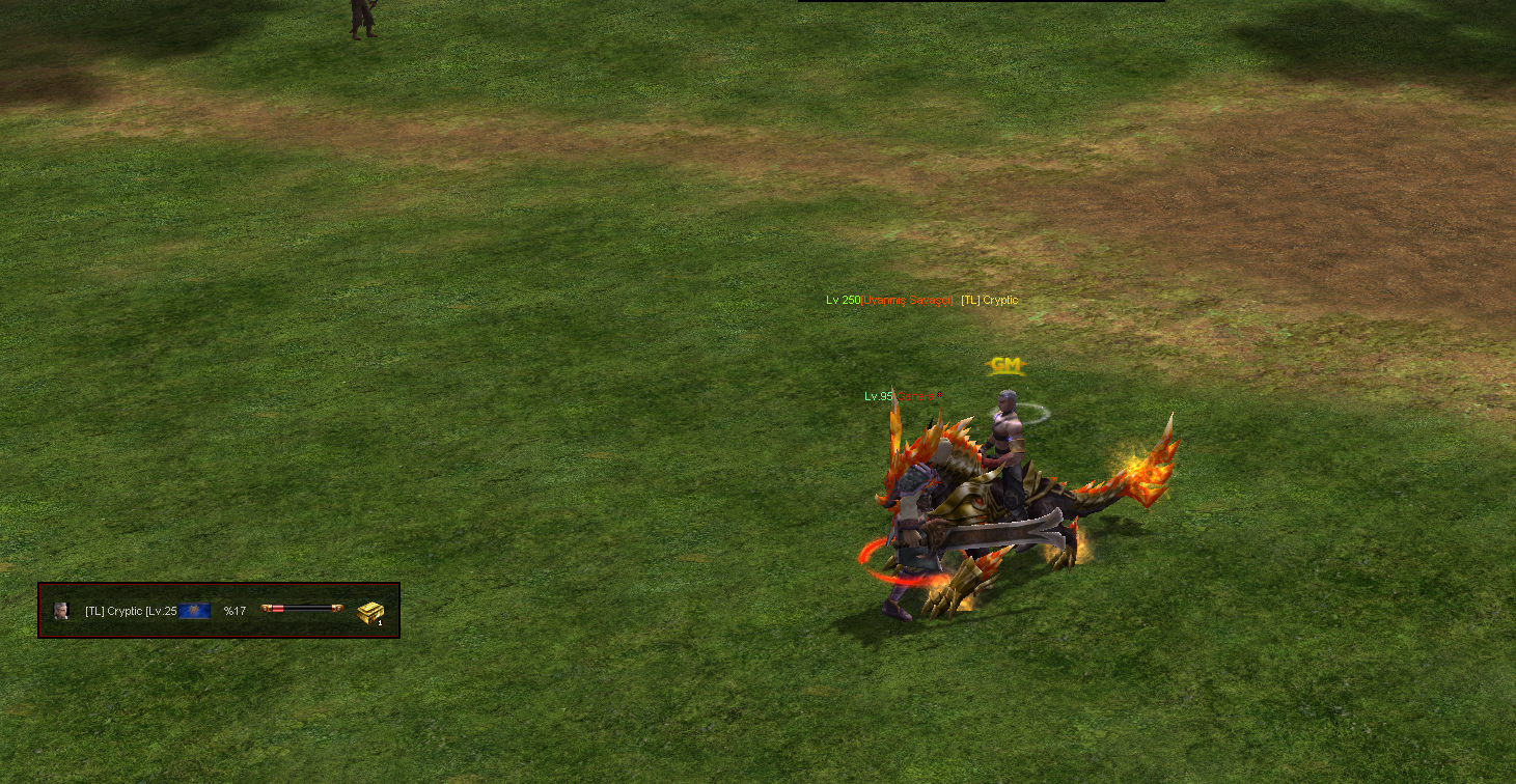 Boss Damage Ranking V2